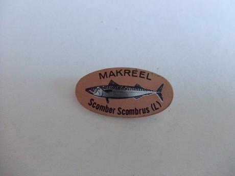 Makreel Scomber Scrombrus